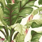 Lisa Pederson - @thespacedesignpro - Instagram