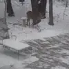 Lisa Pell - @lisa.pell24 - TikTok