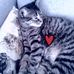 Lise Pellerin - Facebook