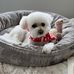 Lisa Pentz - Facebook