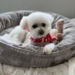 Lisa Pentz - @lpentz6 - Instagram