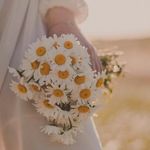 Si ben - @lisaperla1851 - Instagram