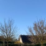 Lisa Petit - Facebook