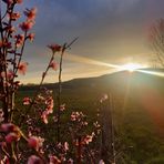 Lisa Petit - Facebook