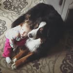 Lisa Koedding Petrone - @lisapetrone14 - Instagram