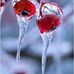 Lisa Chetwynd - Facebook