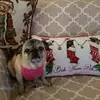 lisapetry752 - @lisapetry752 - TikTok