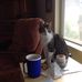 Lisa Peyton - Facebook