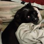 Lisa Phipps Legaux - @lisalegaux100 - Instagram