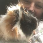 Lisa Whitfield-Pickles - @lisalipsnow - Instagram