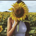 @lisapicklesss - Instagram