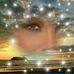 Lisa Piette - Facebook
