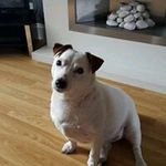 Lisa Pinder - @lush.lisap73 - Instagram