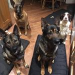 Lisa Pinder - @pinder518 - Instagram