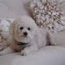 Lisa Pinto - Facebook