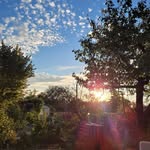 Lisa & Pio - @gartenzwerge.worms - Instagram