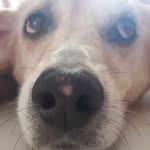 Lisa P - @lisa_p_io - Instagram