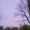 Lisa Pio - @purplemama720 - TikTok