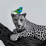 Lisa Pires - @namborafinearts - Instagram