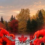 Lisa Plante - @leapmtl - Instagram
