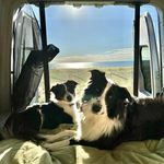 Lisa Plante - @localhoneybeelike - Instagram
