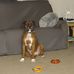 Lisa Plante - Facebook