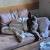 Lisa Plante - Facebook