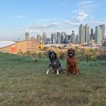 Lisa Plante - @lisaplante - Instagram