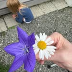 Lisa Plourde Woods - @lisaplourdewoods - Instagram