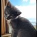 Lisa Pohlman - Facebook