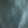 Lisa Polanco - @lisapolanco - TikTok