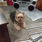 Lisa Post - Facebook