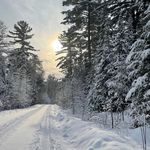 Lisa Potvin - @wiserde8 - Instagram