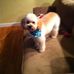Lisa Potvin-Crogan - Facebook