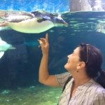 Lisa Preece - @lisapreece - Instagram
