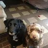 Lisa Preece - @lisa.preece1 - TikTok