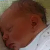 Lisa Shreve Preece - @lisa.shreve.preec - TikTok