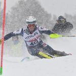Lisa Proctor - @lisa.proctor - Instagram