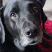 Lisa Proctor - Facebook