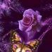 Lisa Proctor - Facebook