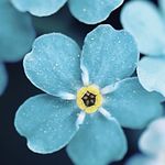 Lisa Proctor - @kashday - Instagram