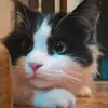 LisaProctor - @dedrikovqvp - TikTok