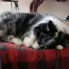 lisaopulski - @lisaopulski - TikTok
