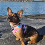 Lisa Pullin-Pearce - @pullin_lisa - Instagram