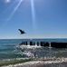 Lisa Puls - Facebook