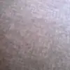 lisaepurcell765 - @lisaepurcell765 - TikTok