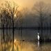 Lisa Qualey - Facebook