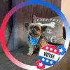 Lisa Quick - @lisa.quick55 - TikTok