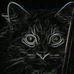 Lisa Quint - Facebook