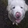 Lisa Quint - @lisa.quint1 - TikTok